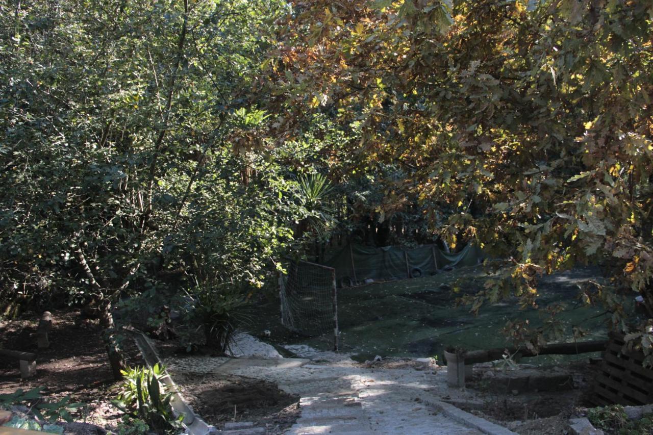 Bosque Dos Amieiros Villa Marco de Canavezes Exteriör bild