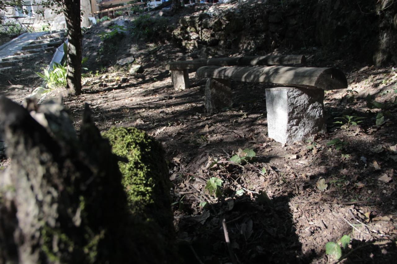 Bosque Dos Amieiros Villa Marco de Canavezes Exteriör bild